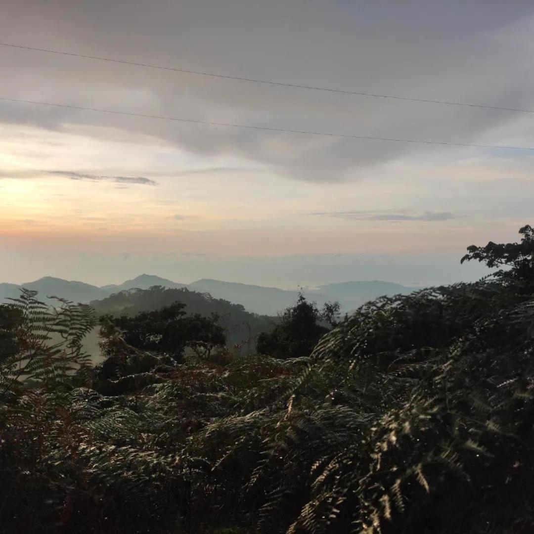 Hotel Y Restaurante Mirador Aires De La Sierra, Minca Bagian luar foto